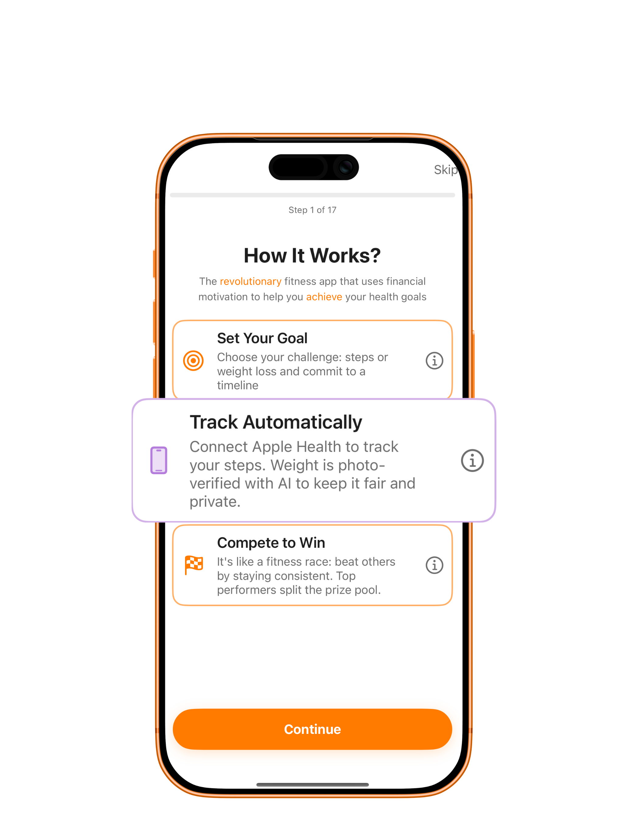 How it works setup and verification steps screen